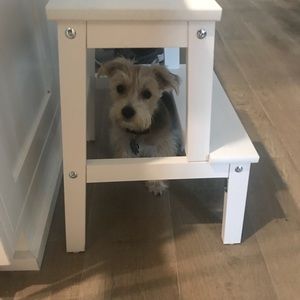 Meet your Posher, Lisa